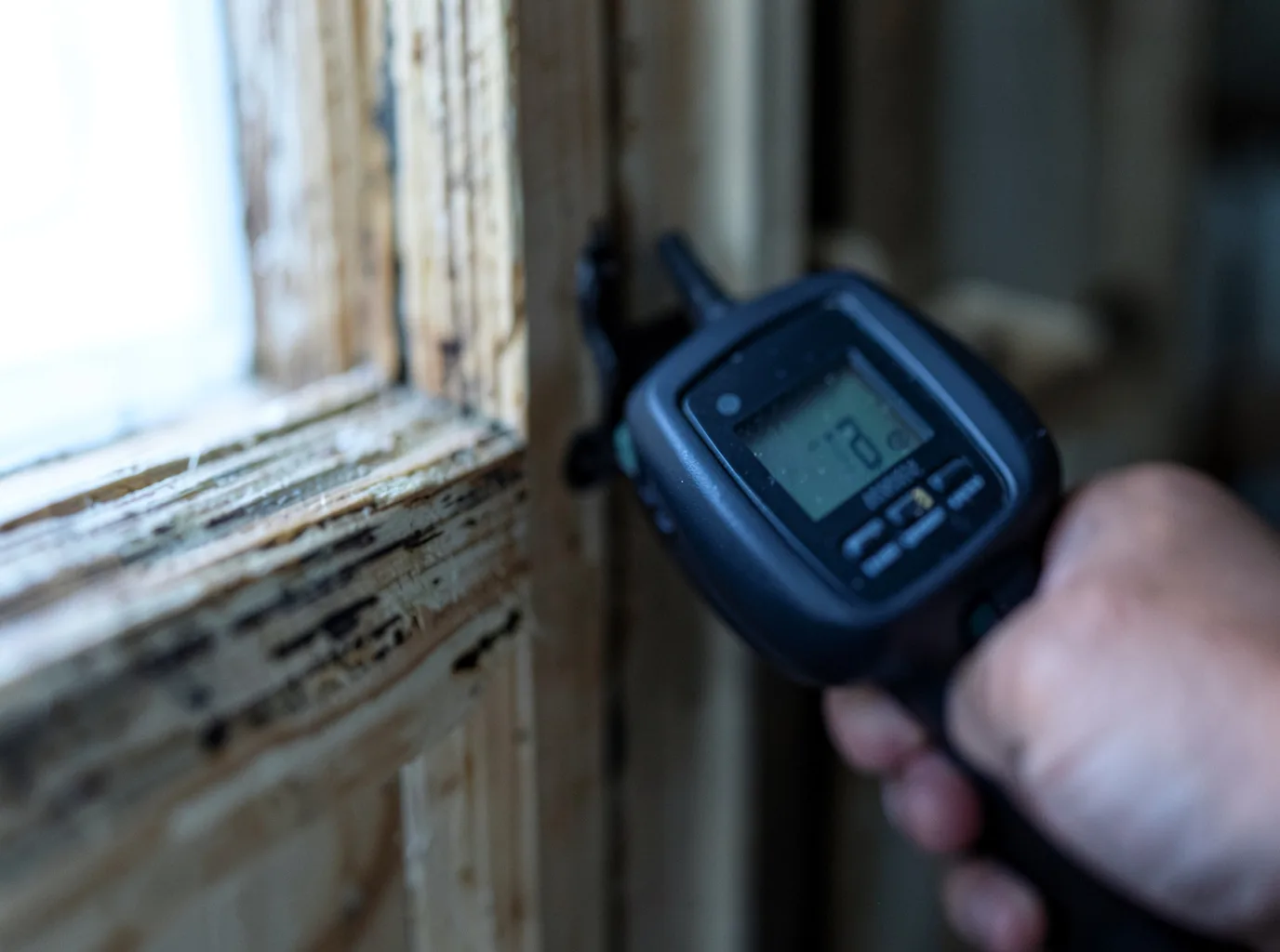 Moisture Inspection And Documentation in Gypsy, WV